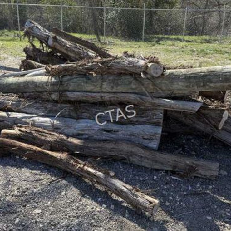 #127 • Bundle Of Tree Limbs & Electrical Pole