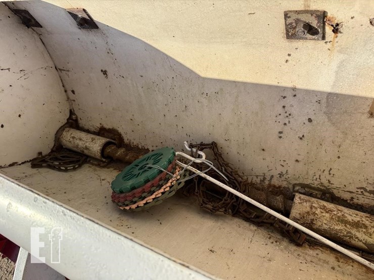 international-56-image-7