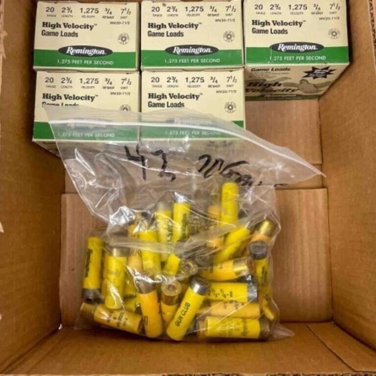 20ga ammo