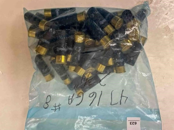 16ga-ammo-image-1