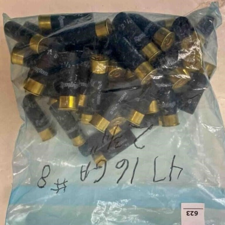 16ga ammo