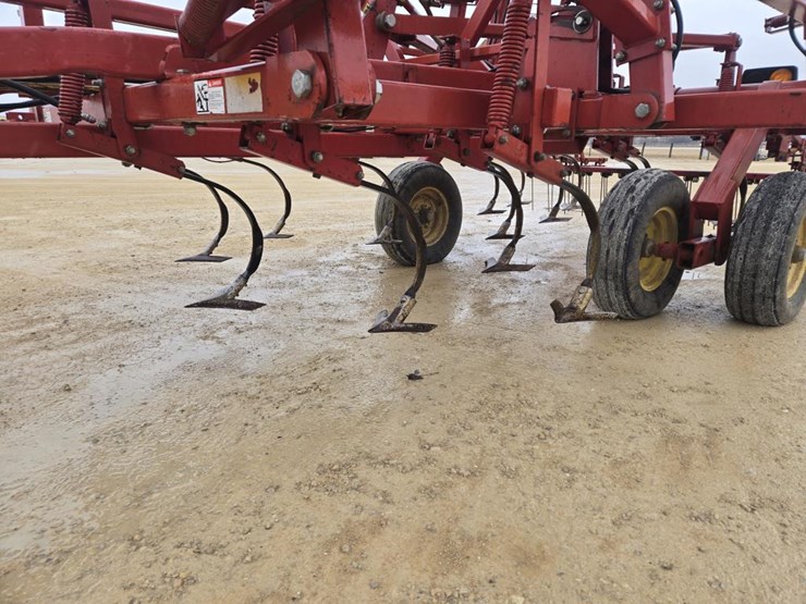 sunflower-5034-24-image-3