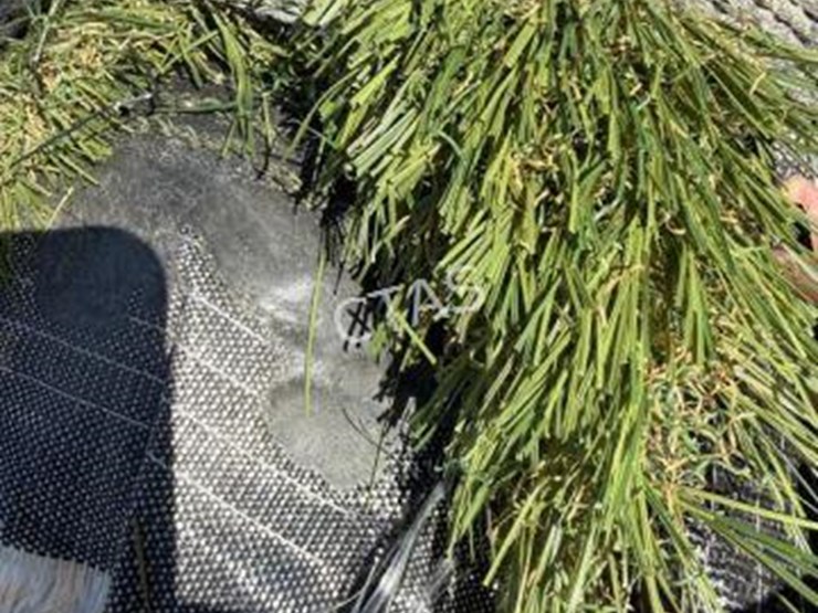 #263-•-18'-roll-of-turf---tx-dense-image-2