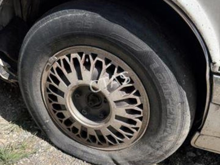 1991-unknown-unknown-image-5