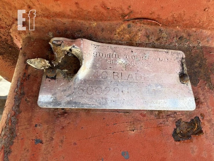 international-40-image-5