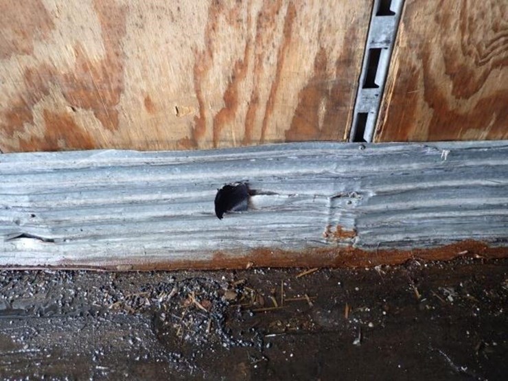 2001-trailmobile-53-ft-image-34