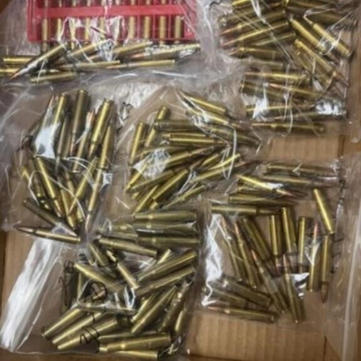 .223 ammo