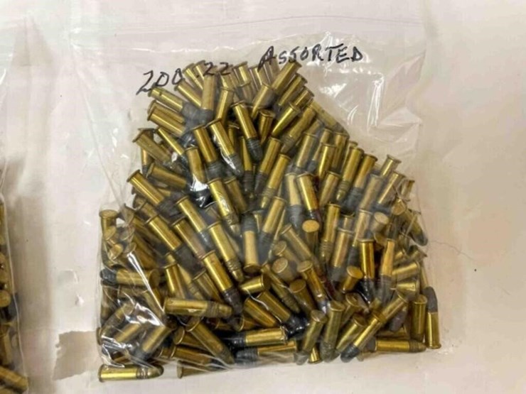 .22-lr-ammo-image-6
