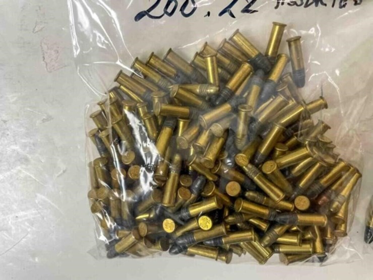 .22-lr-ammo-image-3
