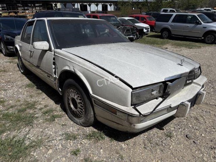 1991-unknown-unknown-image-3