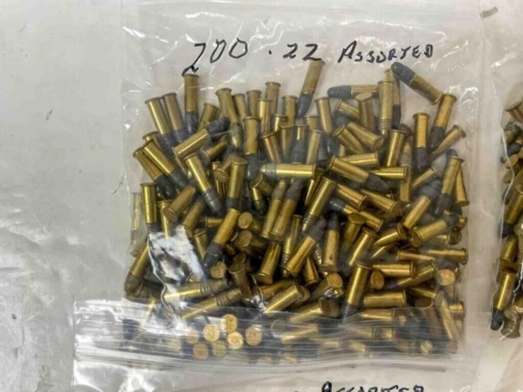 .22-lr-ammo-image-2