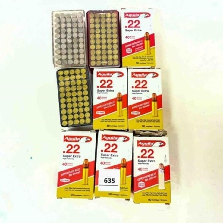 .22 LR ammo