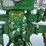 john-deere-b-image-19