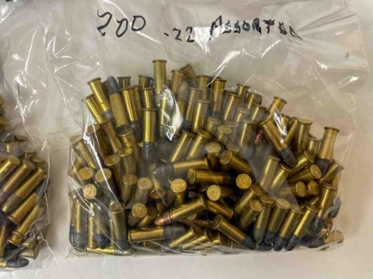 .22-lr-ammo-image-4
