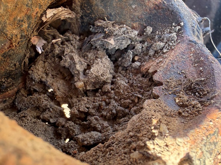 bush-hog-3715-image-42