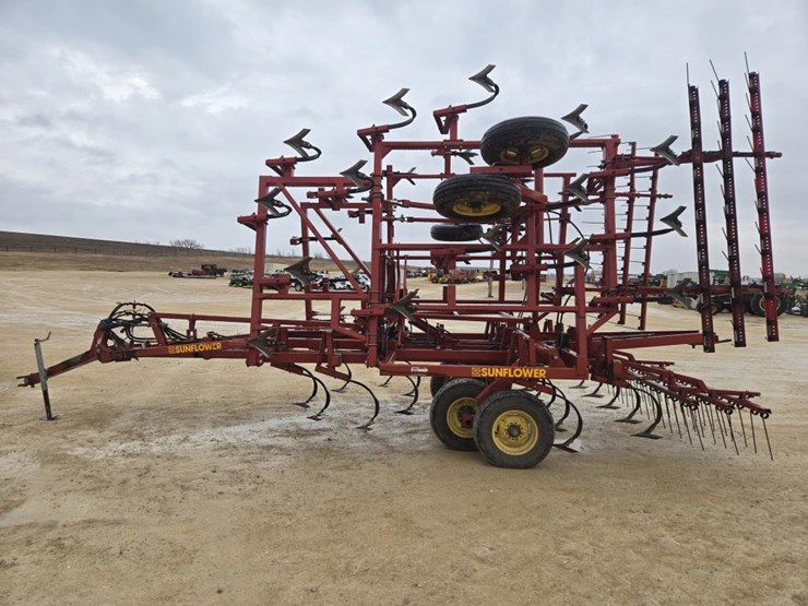 sunflower-5034-24-image-4