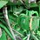 2011-john-deere-9530-image-66