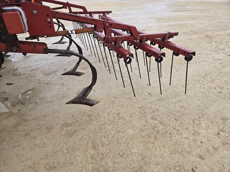 sunflower-5034-24-image-6