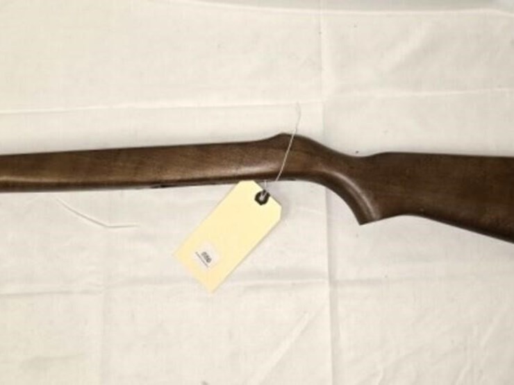 ruger-10-22-stock-image-1