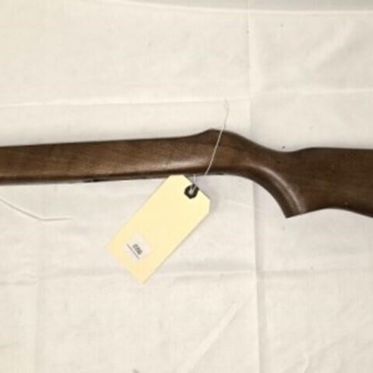Ruger 10-22 Stock