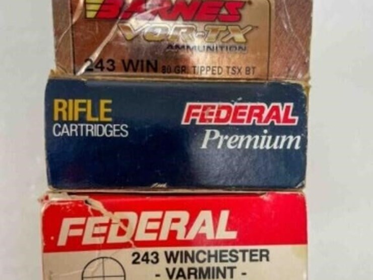.243-ammo-image-1