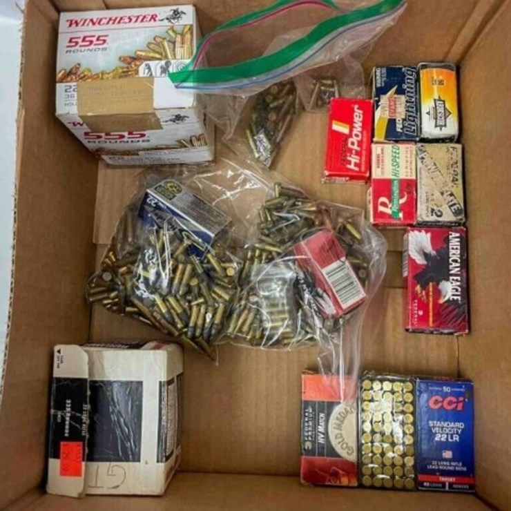 box of .22 LR ammo