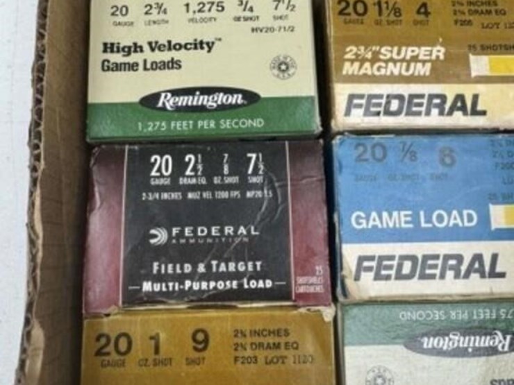 20-ga-ammo-image-2