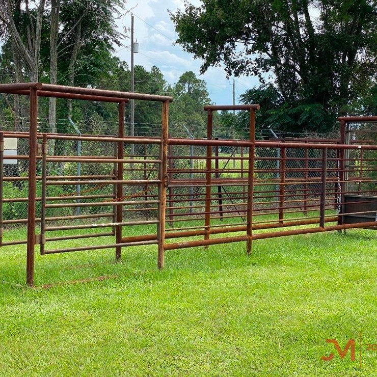 UNUSED CATTLE CROWDING CHUTE