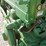 john-deere-b-image-35