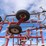 #1063-•-willrich-field-cultivator-with-finisher-image-38