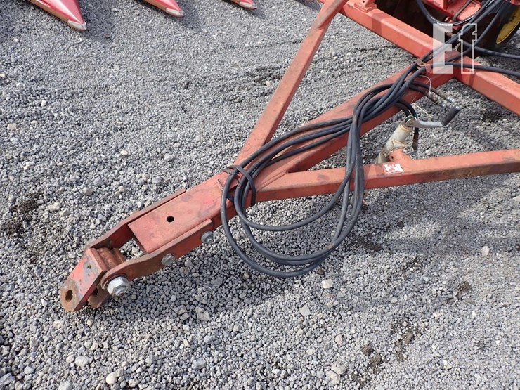 sunflower-6331-image-3