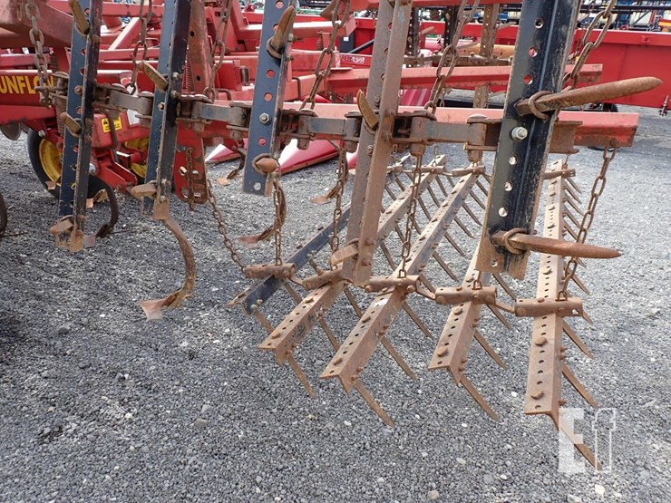 sunflower-6331-image-9