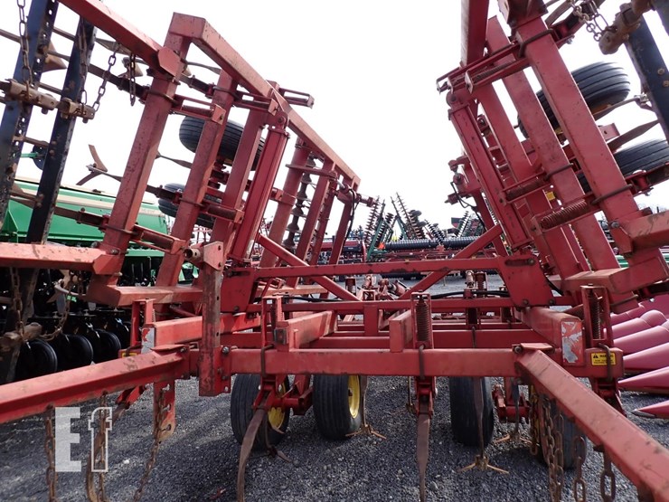 sunflower-6331-image-8