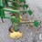 john-deere-845-image-5