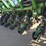 john-deere-1790-image-14