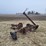 david-bradley-7'-pull-type-sickle-mower-image-3