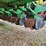 2010-john-deere-1770nt-image-28