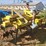 aerway-manure-applicator---field-ready-image-4