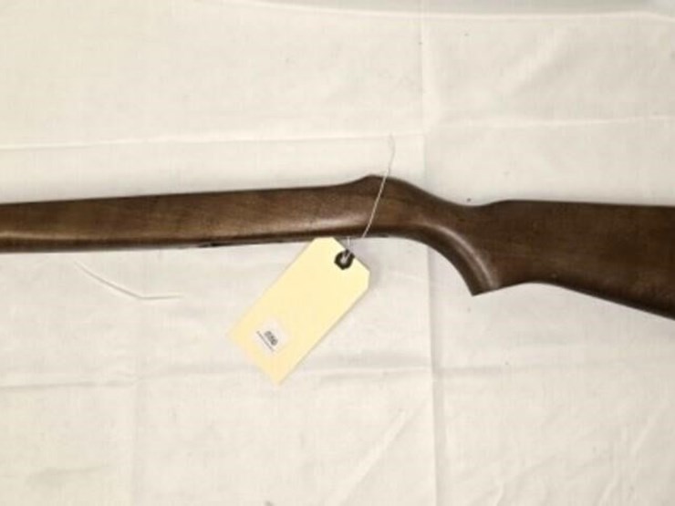 ruger-10-22-stock-image-1