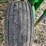 john-deere-630-image-12