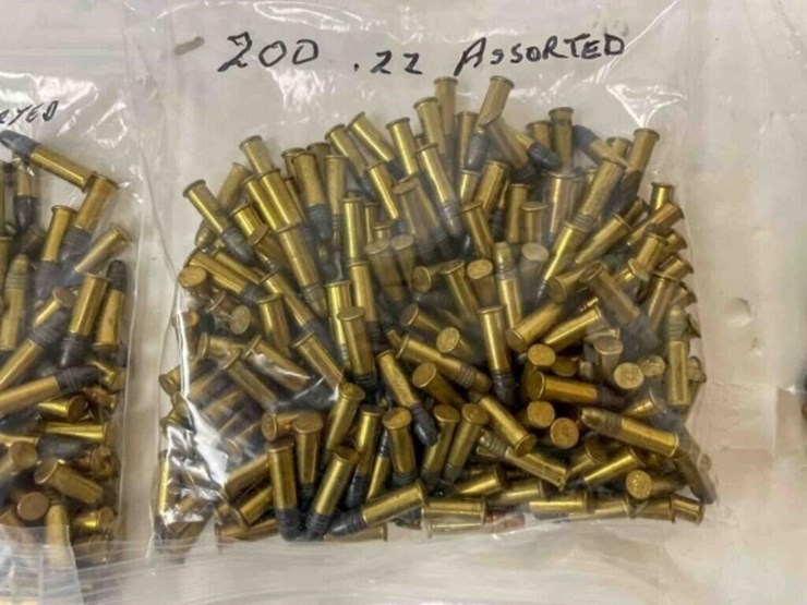 .22-lr-ammo-image-5
