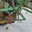 john-deere-7000-image-16