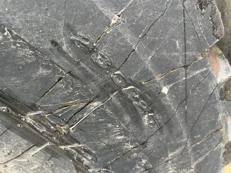 2021-doosan-dl320-7-image-12