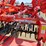 kuhn-krause-excelerator-8000-image-12