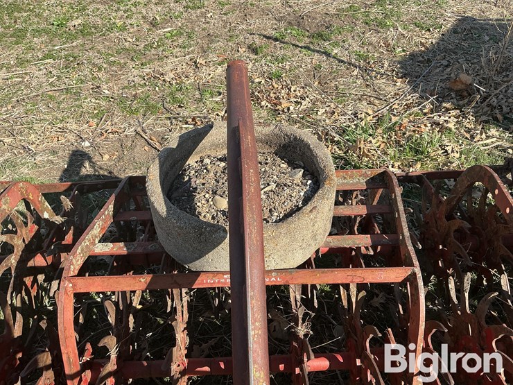 international-3-image-15