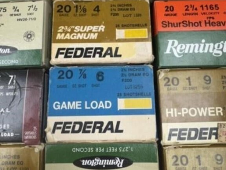 20-ga-ammo-image-3