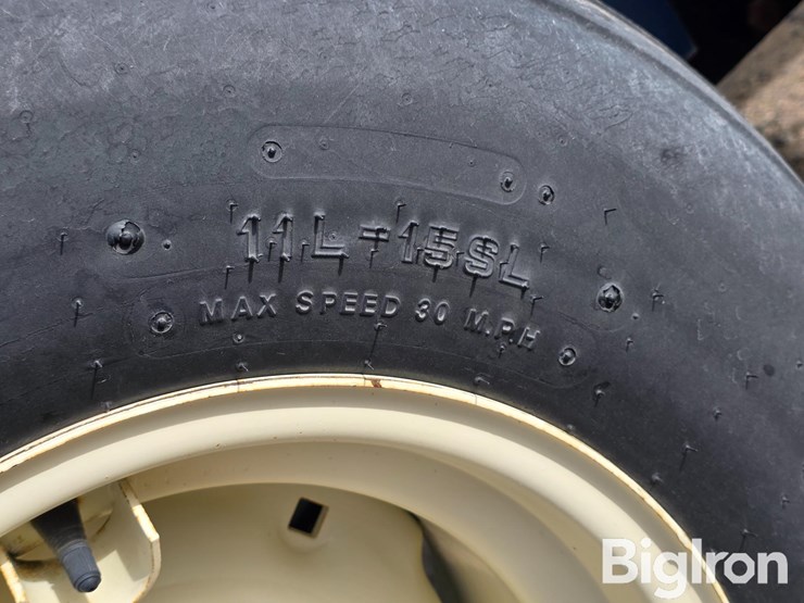 schaben-p265-1010-image-15