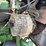 #60-•-john-deere-239t-4-cyl-power-unit-04fj178161-inv#-43364-image-16