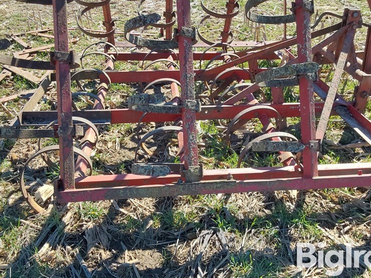 international-22-image-14