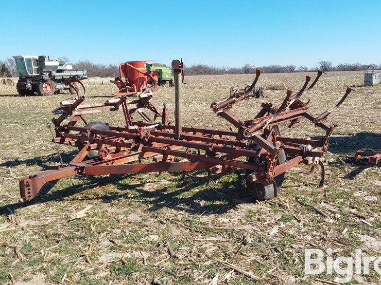 international-45-image-1